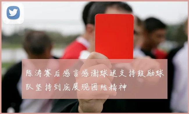 陈涛赛后感言感谢球迷支持鼓励球队坚持到底展现团结精神