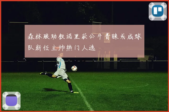 森林狼助教诺里获公牛青睐或成球队新任主帅热门人选